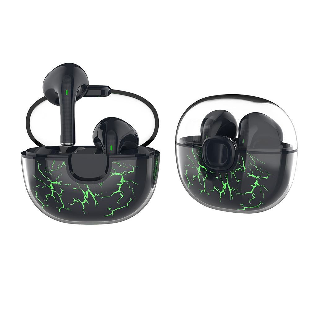 TWS01-209-True Wireless Earbuds
