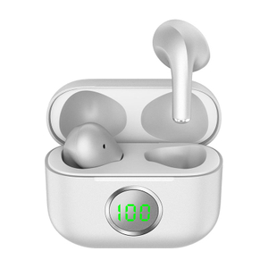 TWS01-202-True Wireless Earbuds