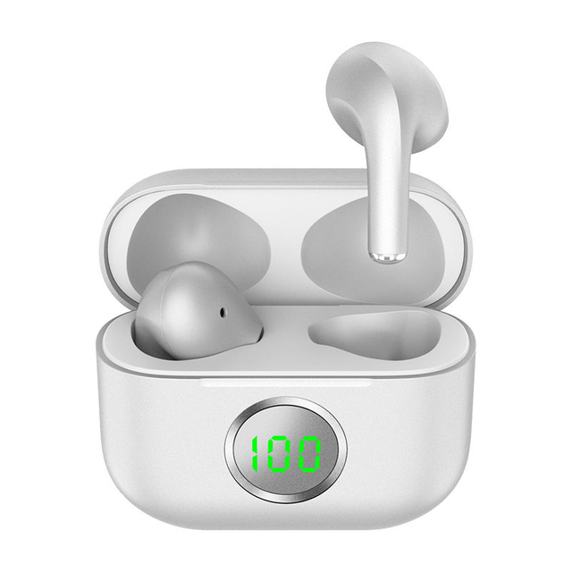 TWS01-202-True Wireless Earbuds