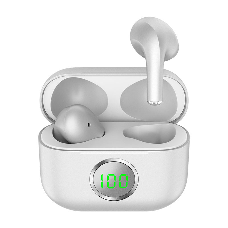 TWS01-202-True Wireless Earbuds