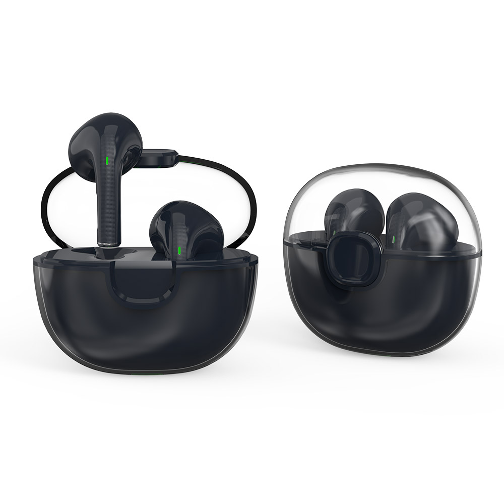 TWS01-209-True Wireless Earbuds