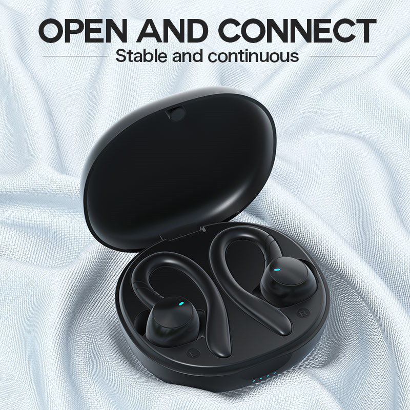 TWS01-204-True Wireless Earbuds