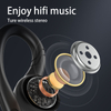 TWS01-204-True Wireless Earbuds
