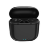 TWS02-220-True Wireless Earbuds