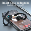 TWS01-204-True Wireless Earbuds