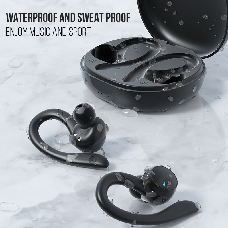 TWS01-204-True Wireless Earbuds