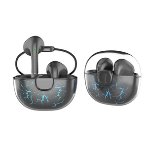 TWS01-209-True Wireless Earbuds