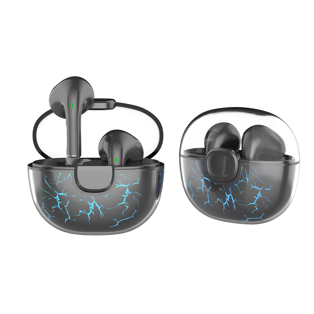 TWS01-209-True Wireless Earbuds