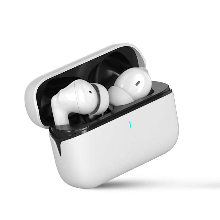 TWS01-201-True Wireless Earbuds