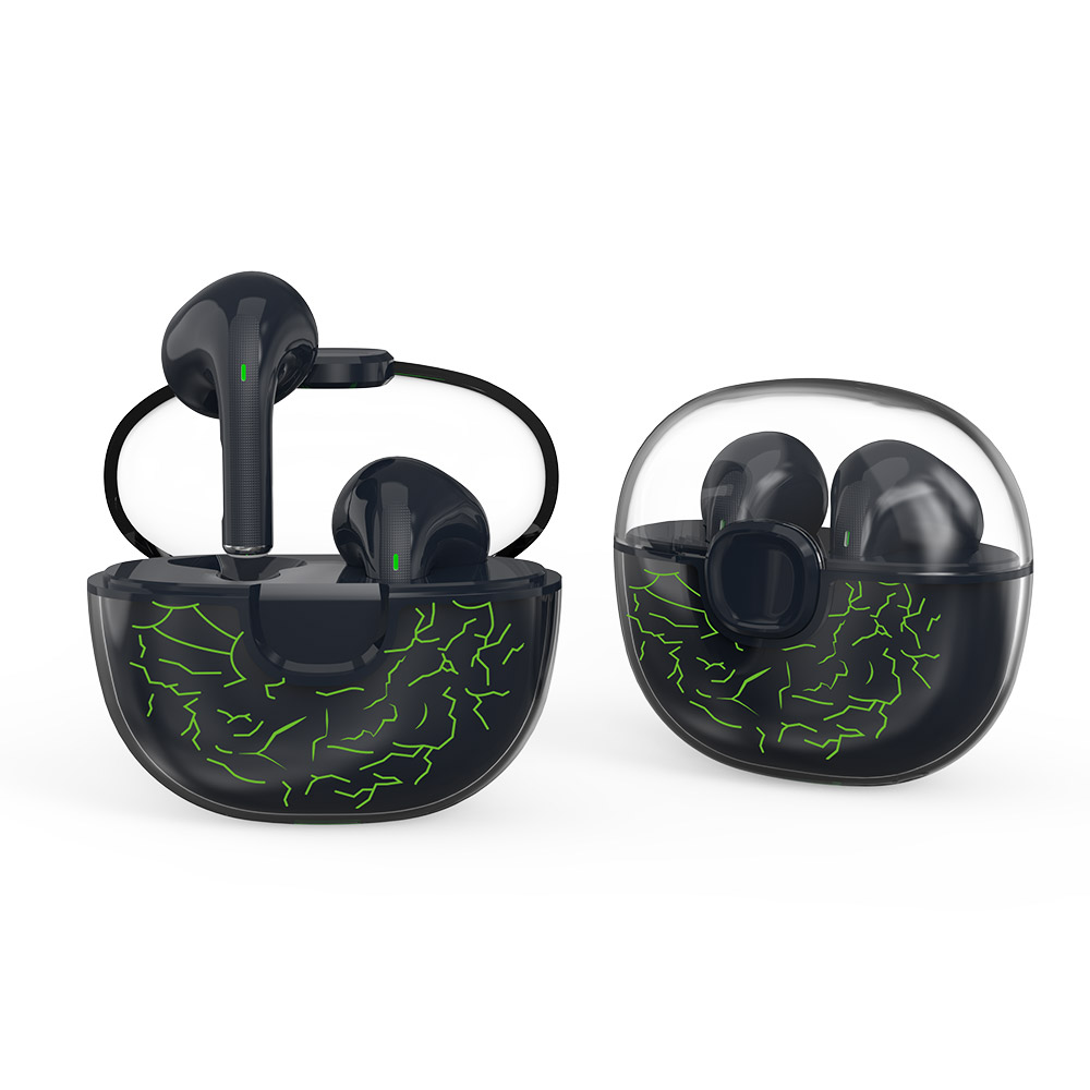 TWS01-209-True Wireless Earbuds